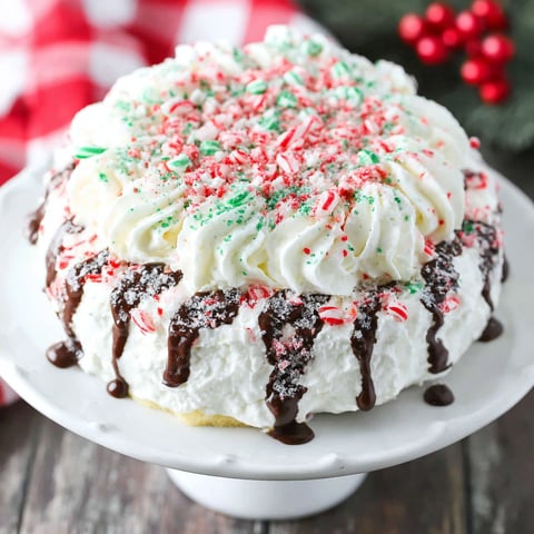 A white plate with a cake on it.