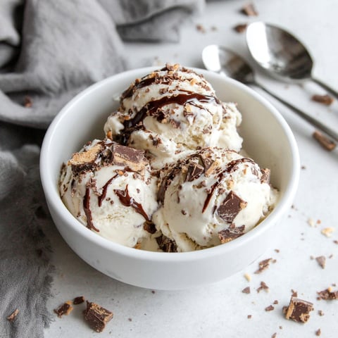 A bowl of chocolate ice cream with chocolate chips.